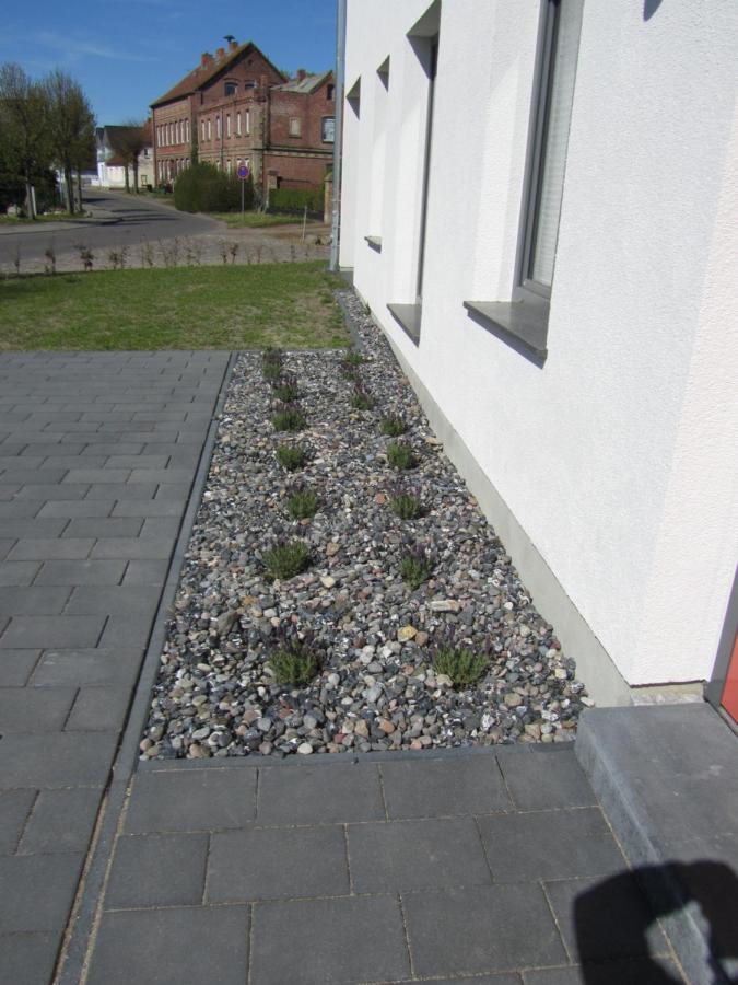 Reusenhaus Sued Villa Breege Exterior photo